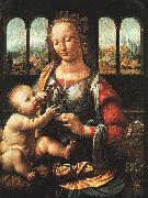  Leonardo  Da Vinci The Madonna of the Carnation oil on canvas